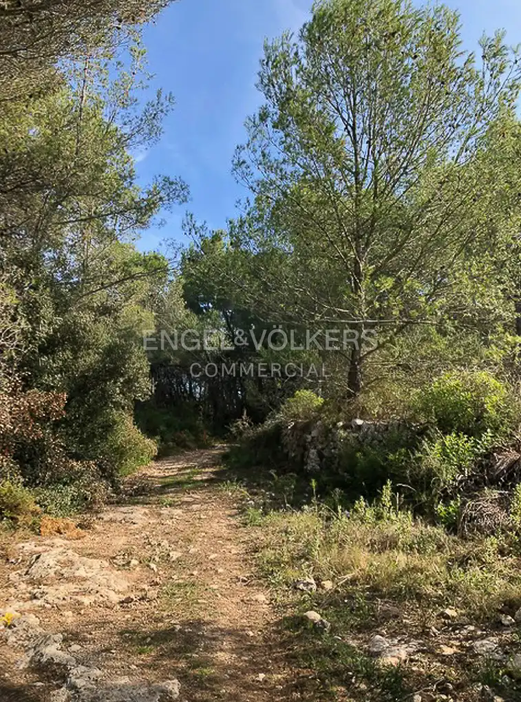 Fabrik Grundstücke zum Verkauf in Avinyonet del Penedès