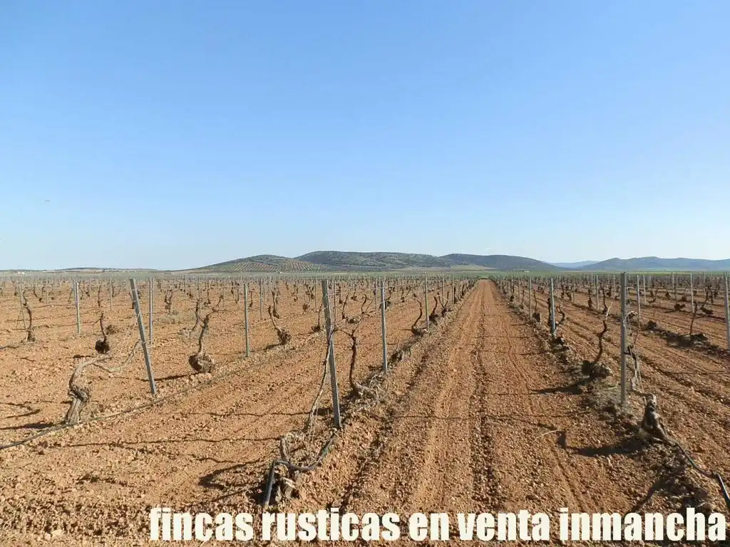 Terreni e lotti in vendita a Madridejos, imagen 9