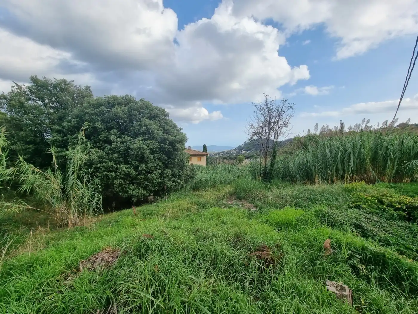 Lands and plots for sale in Calle BAGES, imagen 6