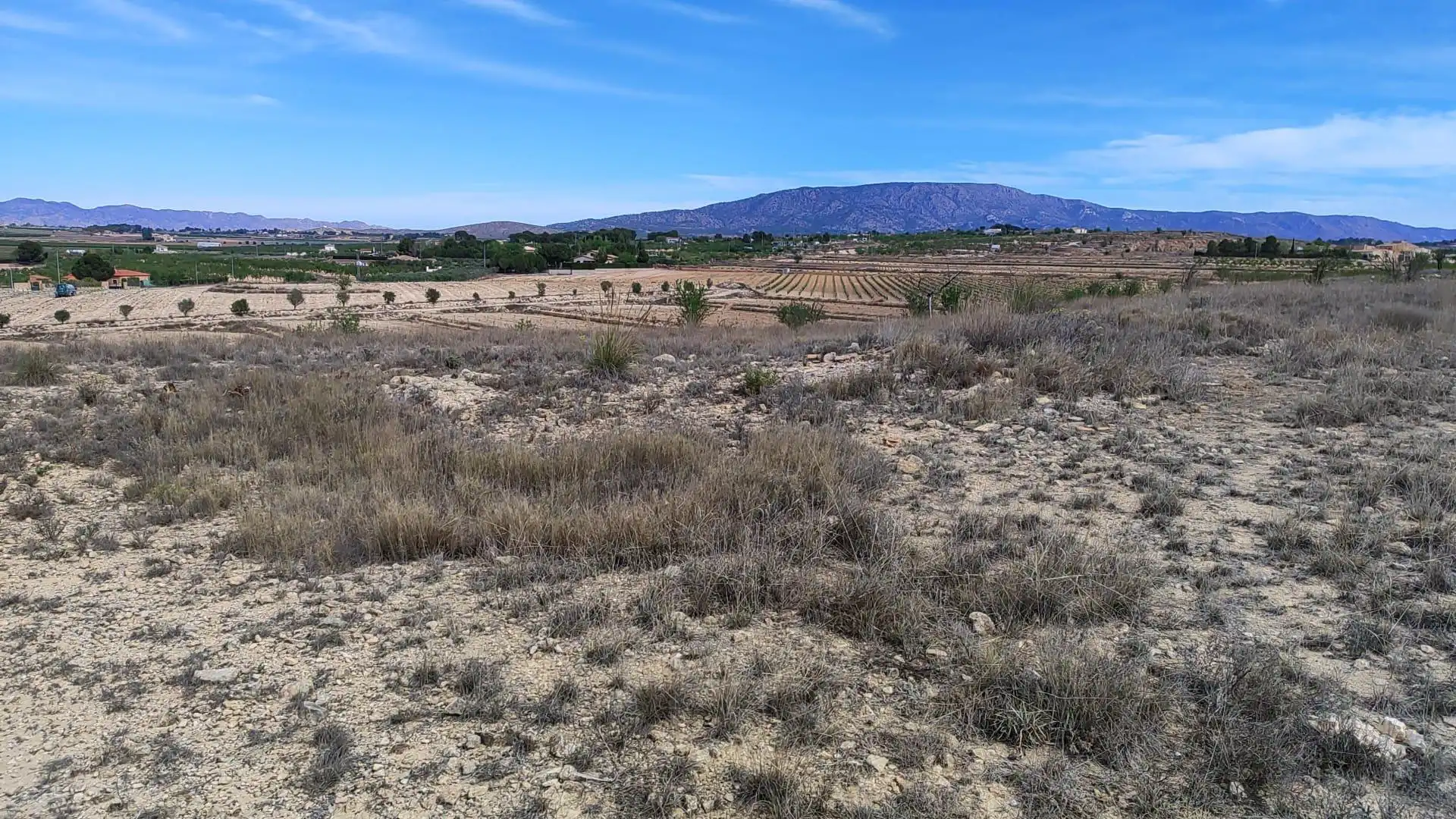 Rural land for sale in El Pinós / Pinoso, imagen 11