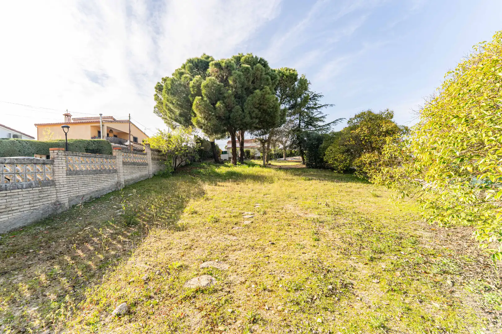 Residential land for sale in Calle de los Olivos, imagen 3