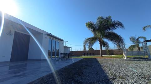 Foto 2 de Finca rústica de lloguer a Camino del Olivar, Avenida de Rota, Cádiz