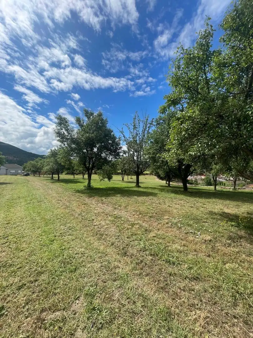 Land for sale in Ribadavia