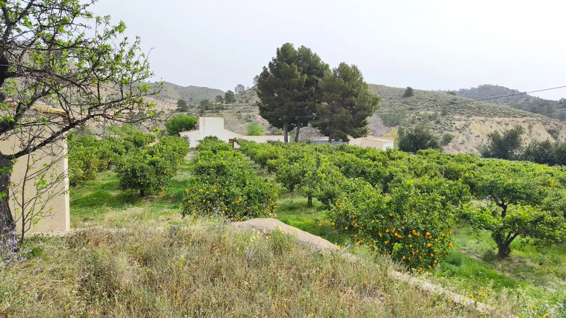 Finca rústica en venta en Aigües con Jardín privado