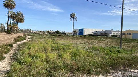 Foto 5 de Terreno industrial en venta en Algoros, Algorós - El Derramador, Elche / Elx