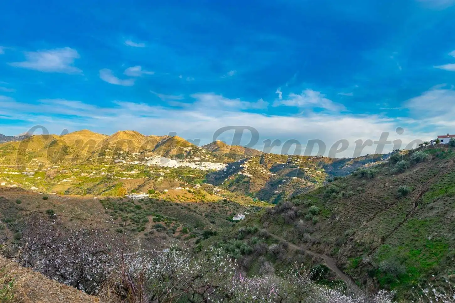 Terreno rustico in vendita a Árchez, imagen 9