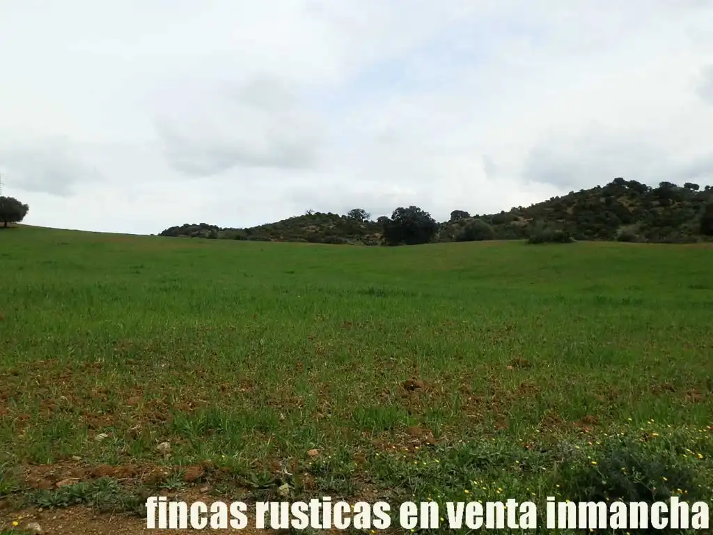 Terreno rustico in vendita a Algodonales, imagen 22