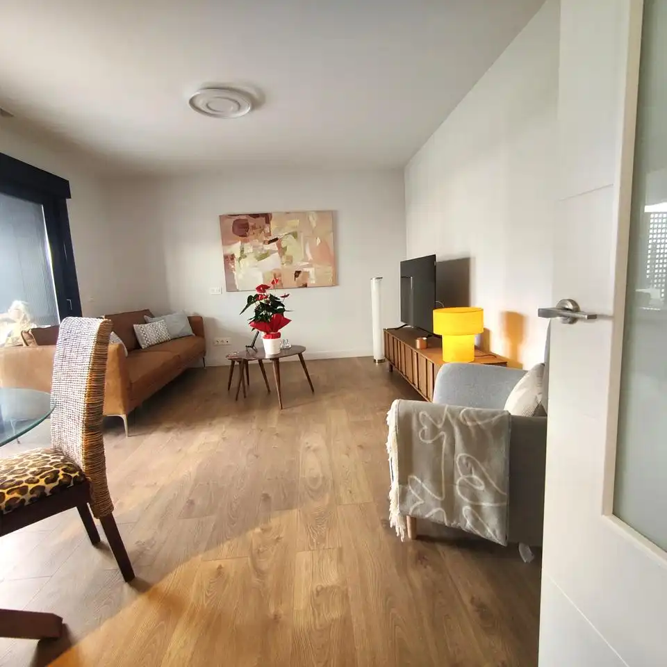 Wohnzimmer von Wohnungen zur Miete in Las Palmas de Gran Canaria mit Terrasse, Möbliert und Internet