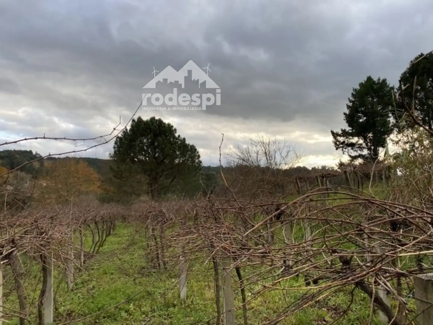 Terreny rústic en venda a A Cañiza, imagen 5