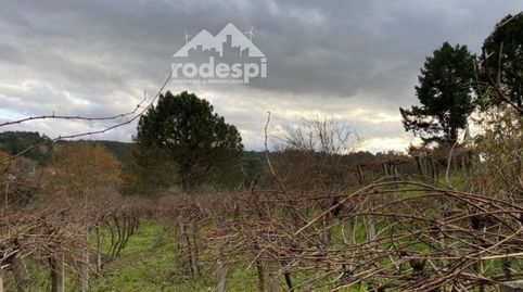 A CAÑIZA, immagine 5