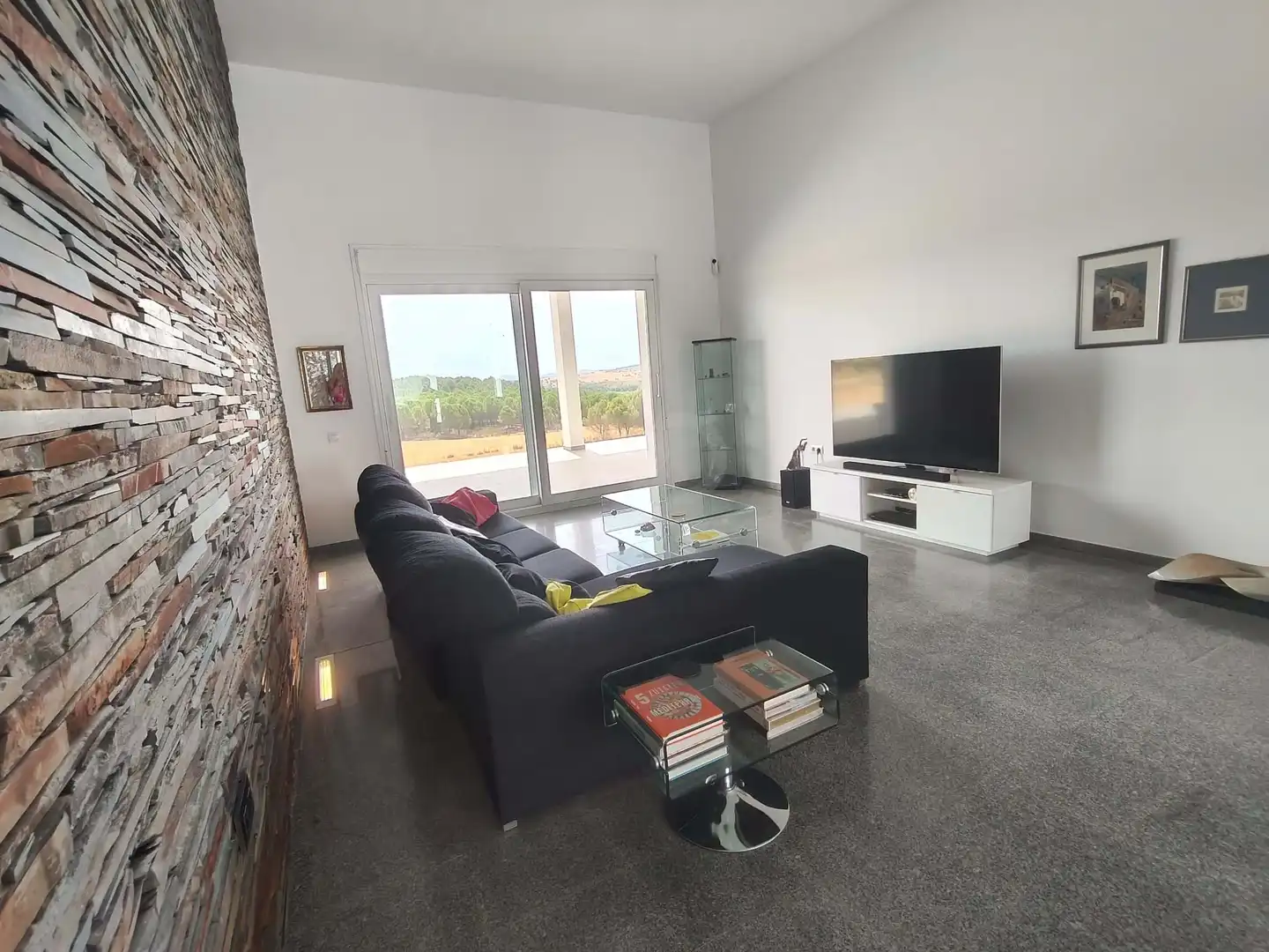 Sala de estar de Casa o chalet en venta en Alburquerque con Calefacción y Piscina