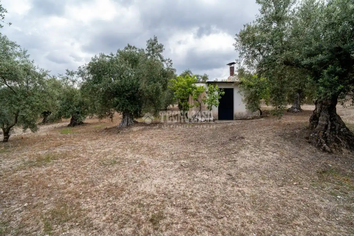 Terreni e lotti in vendita a Albaicín, imagen 4