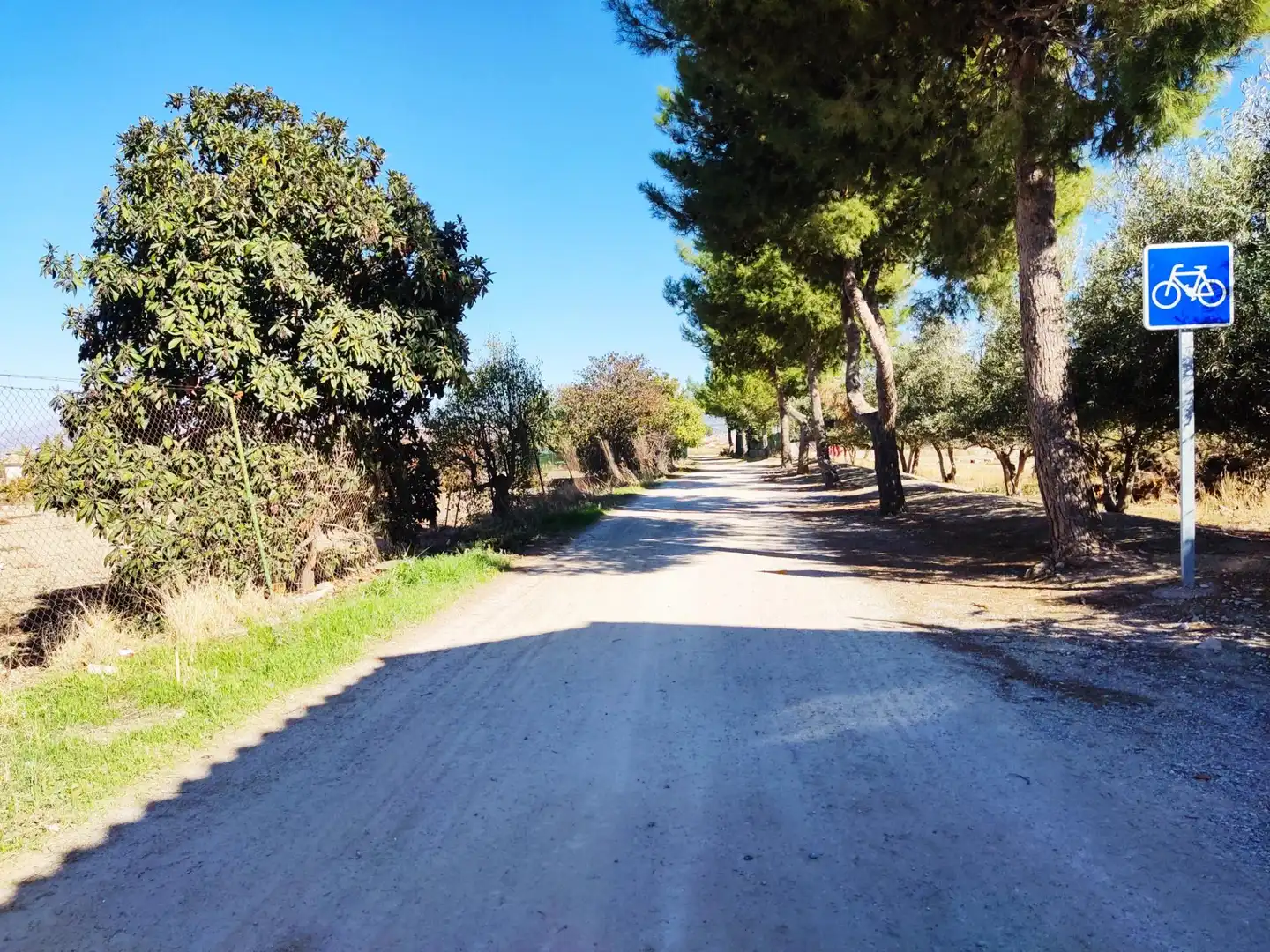 Terreno rústico en venta en MOLINILLO, imagen 15