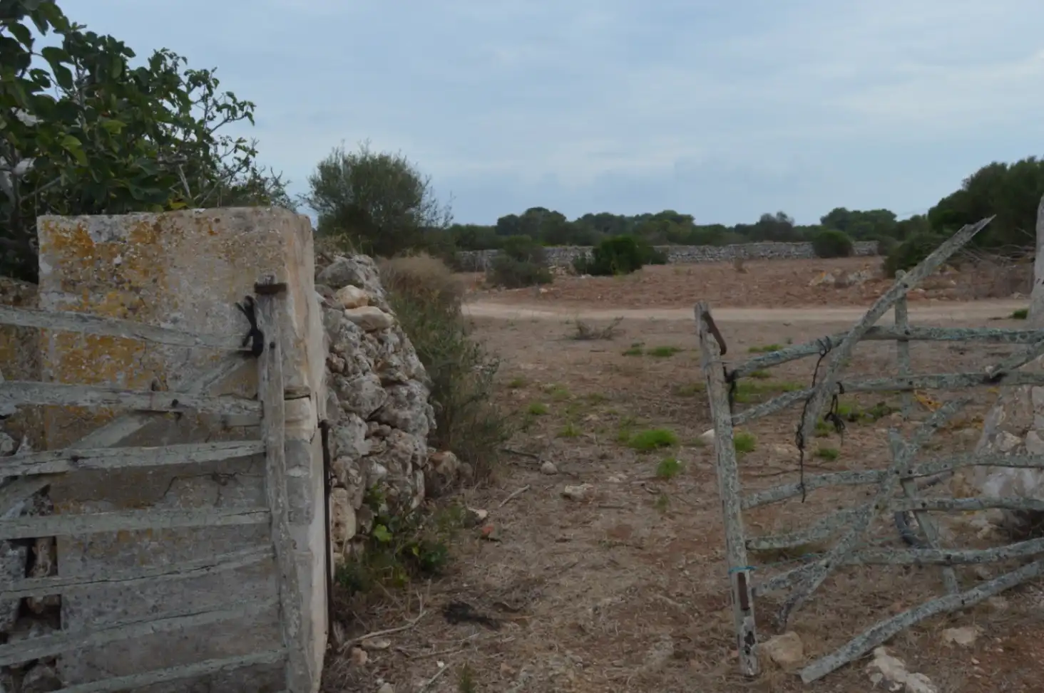 Country homes for sale in Ferreries poble