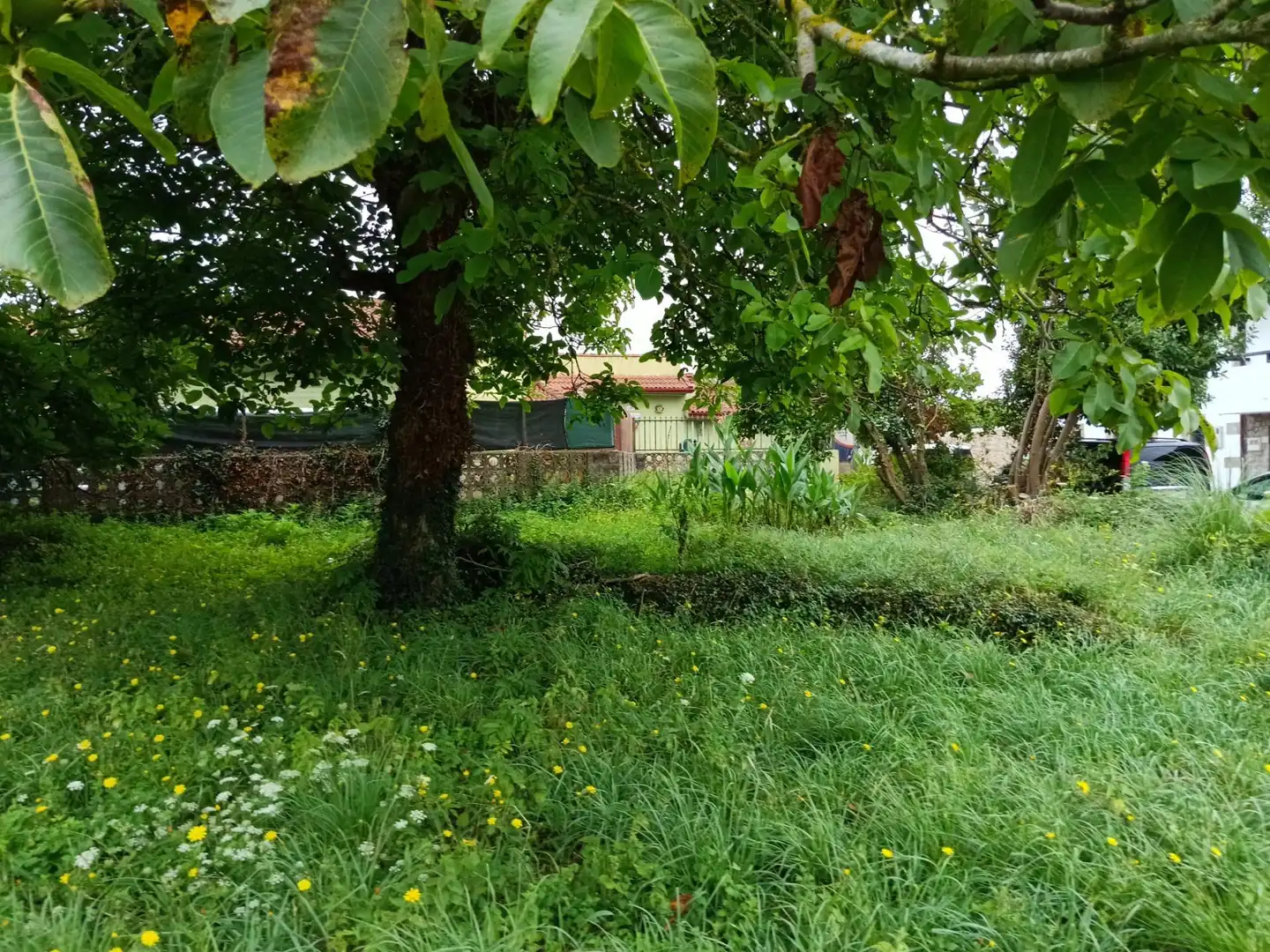 Residential zum Verkauf in Argoños 