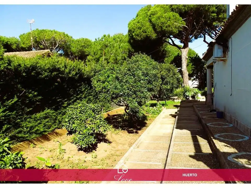 Garden of Houses for sale in Chiclana de la Frontera  with Air Conditioner, Heating and Private garden