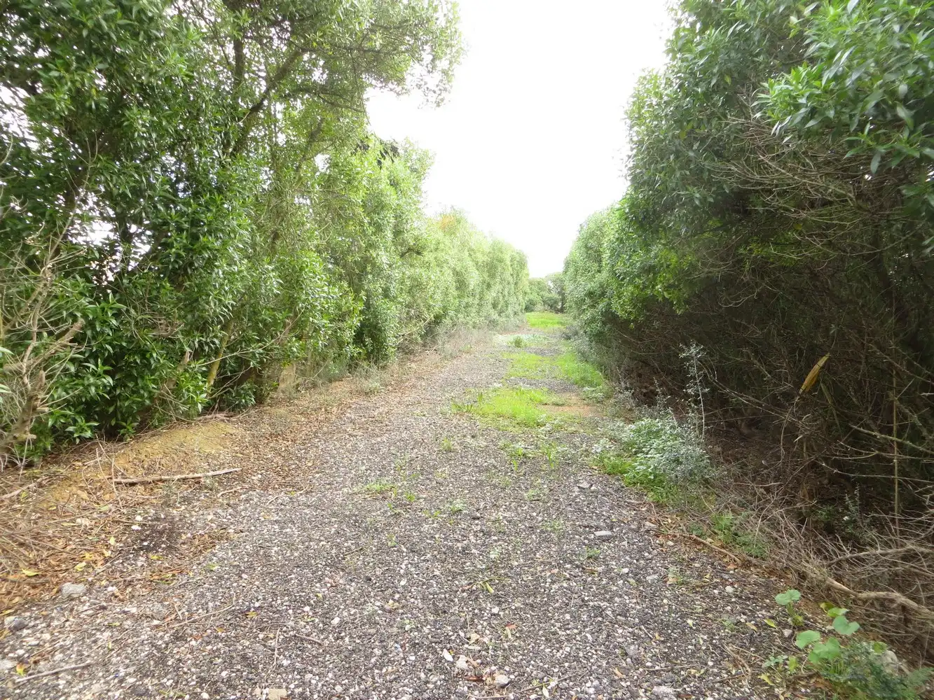 Finca rústica en venta en  Palma de Mallorca con Aire acondicionado, Calefacción y Jardín privado