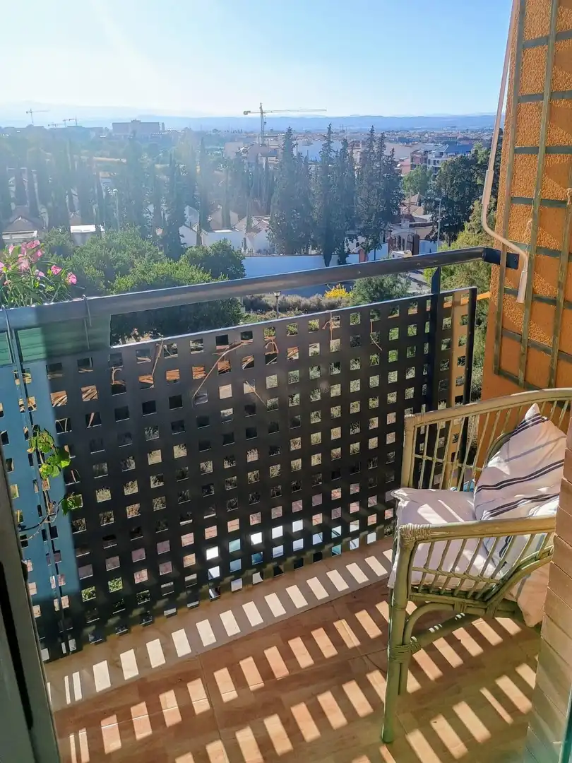 Appartement avec ascenseur à louer à CARRETAS 33, imagen 27