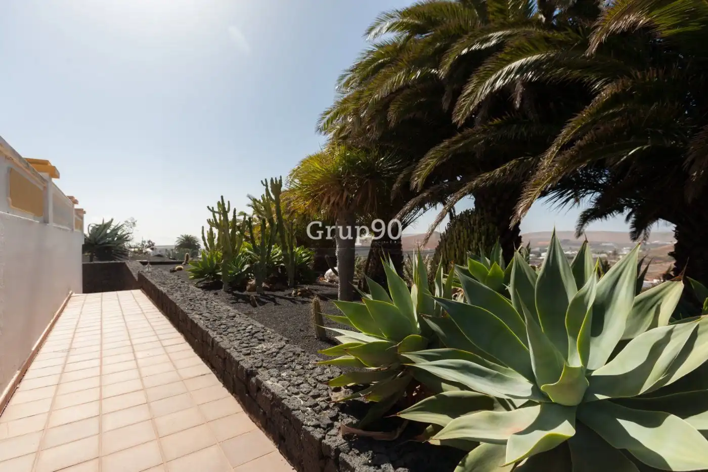 Jardín de Casa o chalet en venta en Teguise con Piscina y Jacuzzi