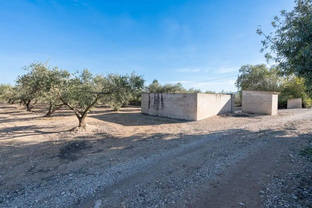 Rustikales Grundstück zum Verkauf in Santa Bàrbara, imagen 4