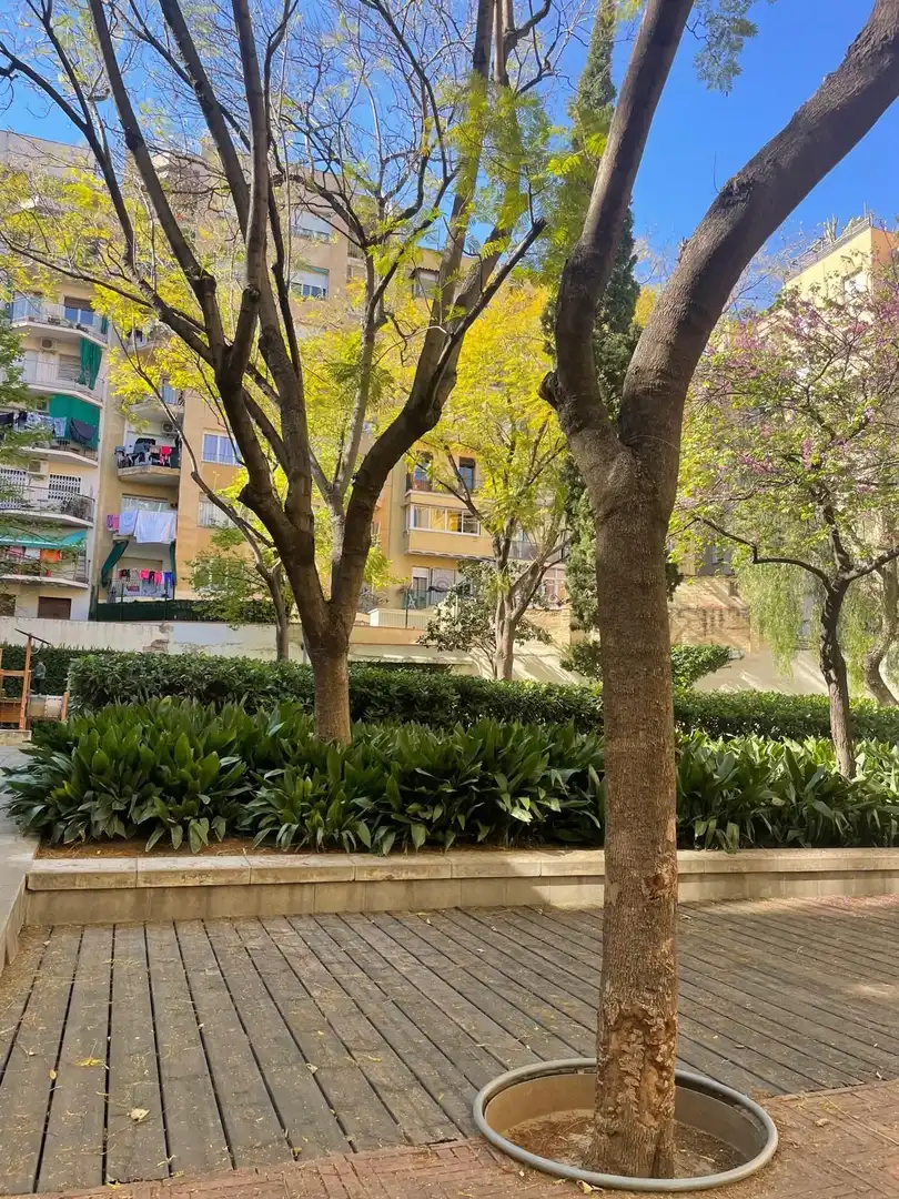 Appartamento con ascensore in vendita a GRAN VIA DE LAS CORTS CATALANES, imagen 25