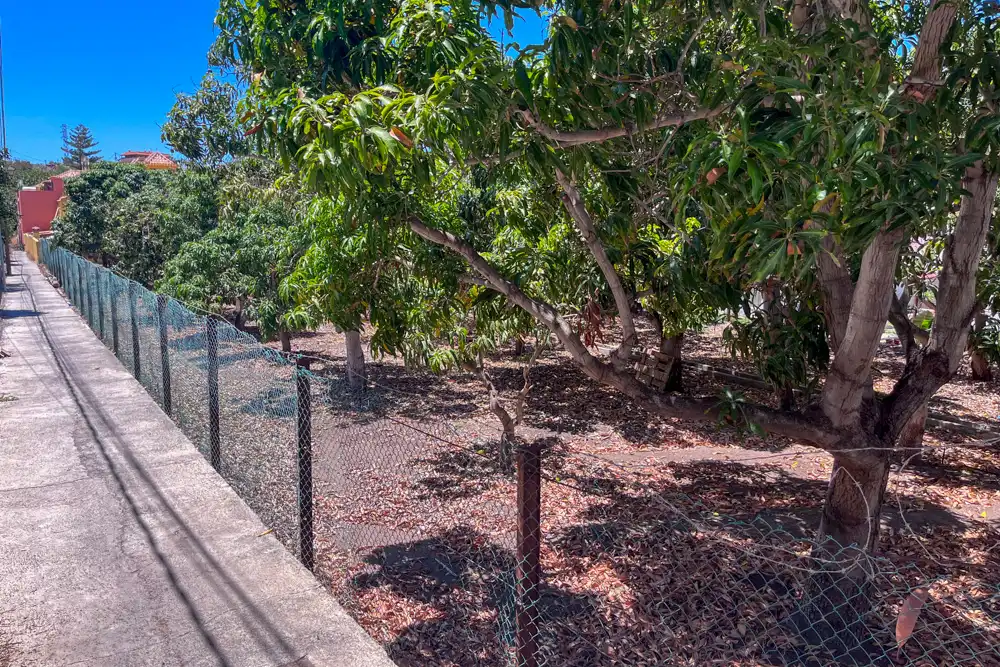 Exterior view of Residential for sale in Valle Gran Rey, Santa Cruz de Tenerife