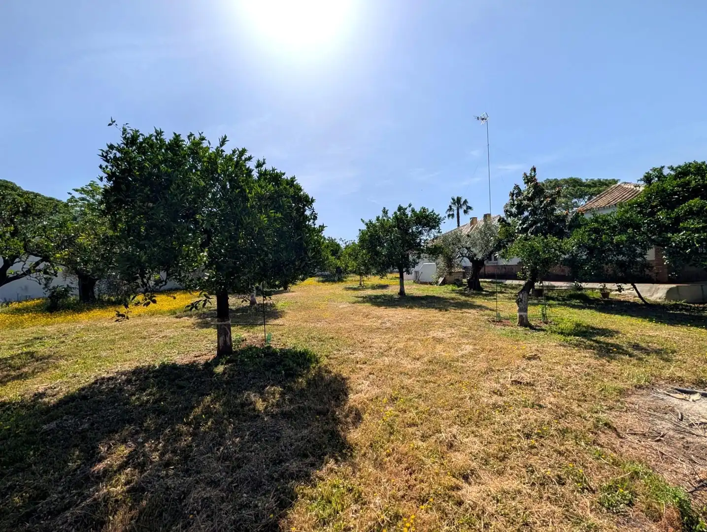 Chalet con jardín en venta en Sanlúcar la Mayor, imagen 31