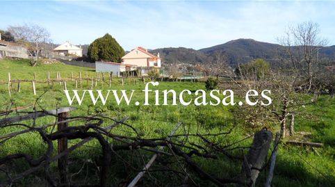 Immagine 3 dell'annuncio