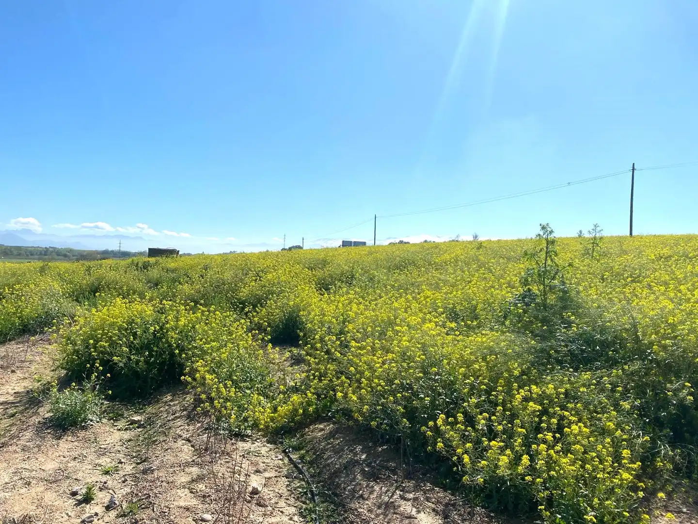 Rustikales Grundstück zum Verkauf in Pinos Puente, imagen 11