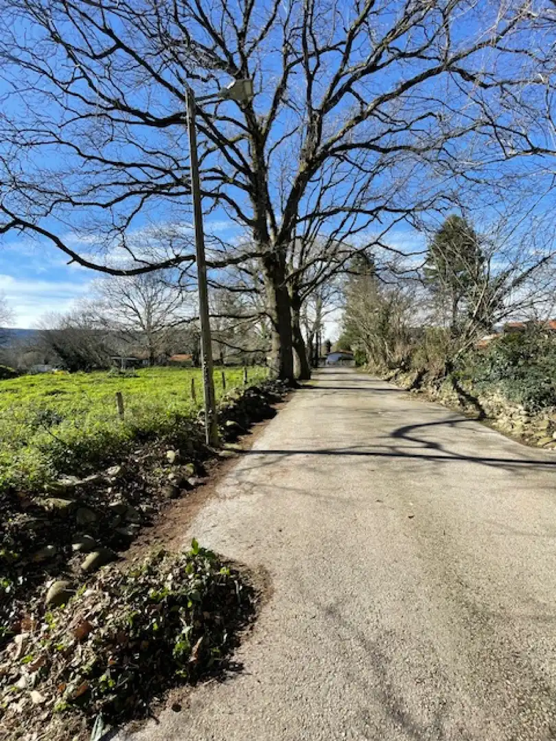 Terreno en venta en Ontoria - BO ONTORIA, 103, Cabezón de la Sal