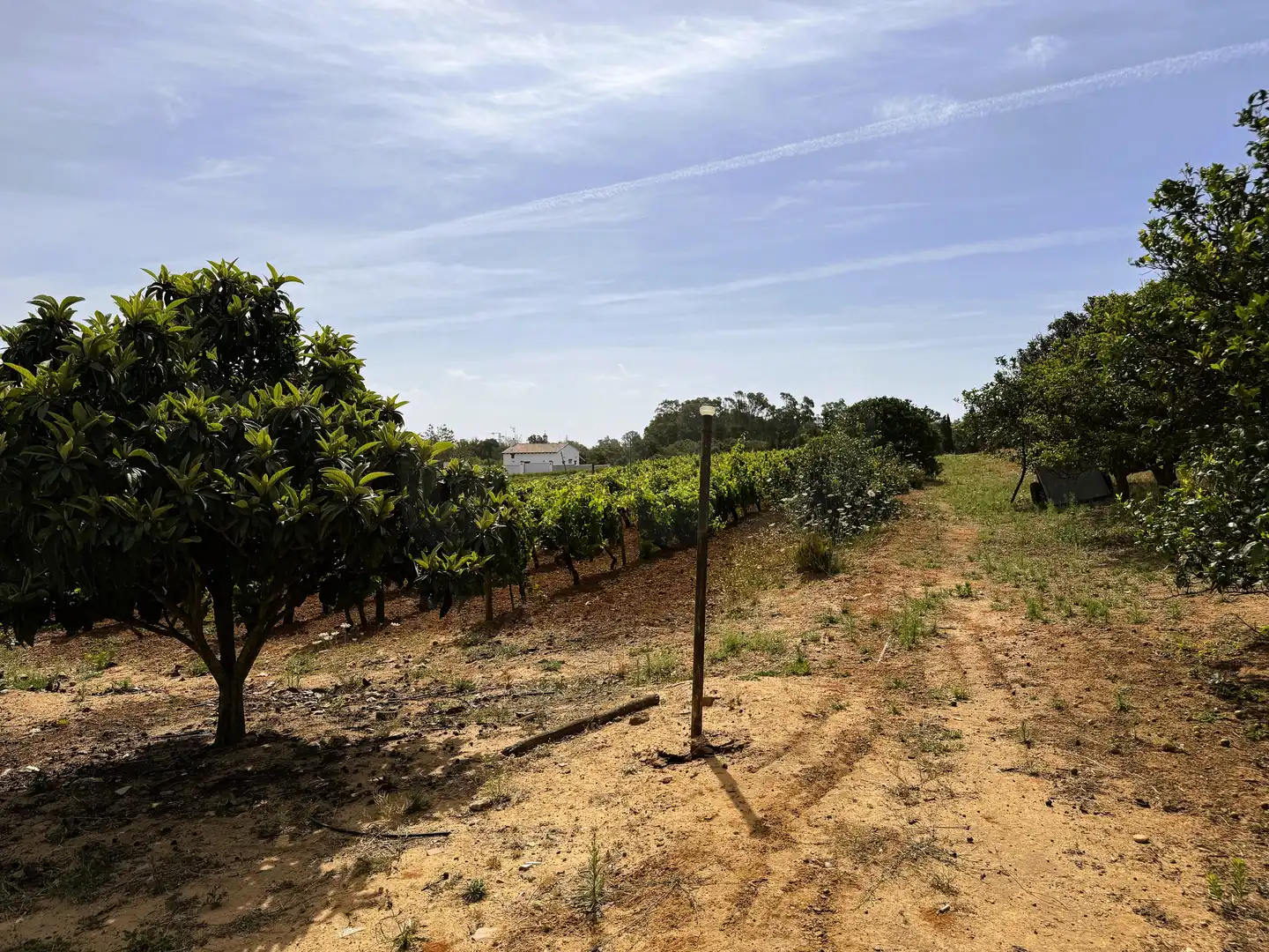 Terreni e lotti in vendita a DS PAGO MELILLA 657 Suelo Polígono 16 Parcela 657, imagen 5