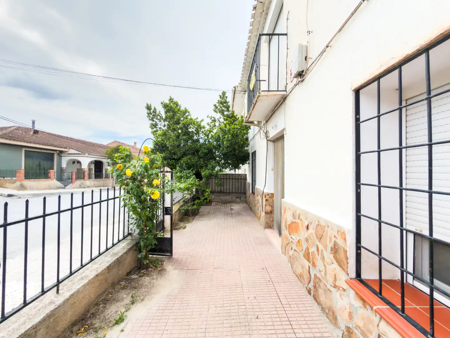 Vista exterior de Casa o xalet en venda en Cortes de Baza amb Jardí privat, Terrassa i Moblat