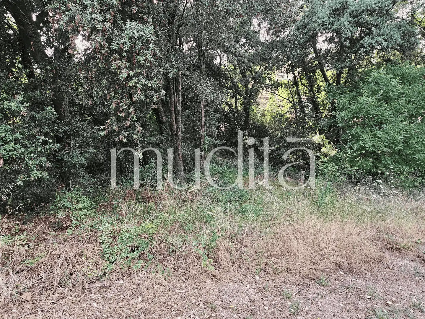 Residential land for sale in del Xaloc, imagen 27
