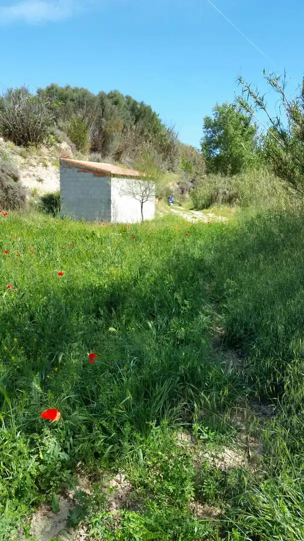 Terrenys i solars en venda a Cuevas del Campo