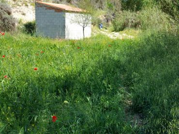 Terreno rústico en venta en Cuevas del Campo