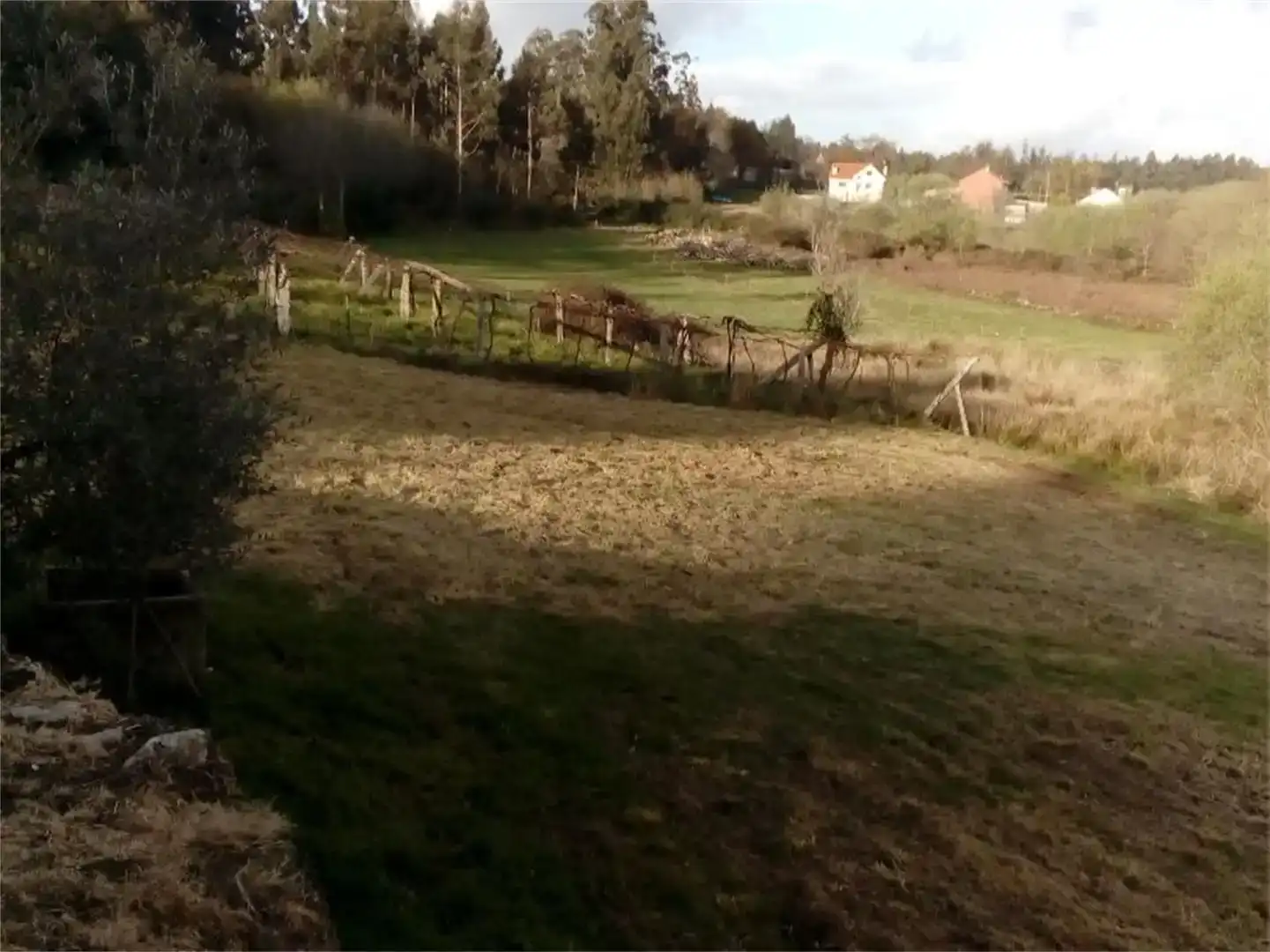 Finca rústica en venta en Cuntis