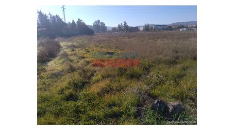 Foto 3 von Country house zum Verkauf in Navalmoral de la Mata, Cáceres