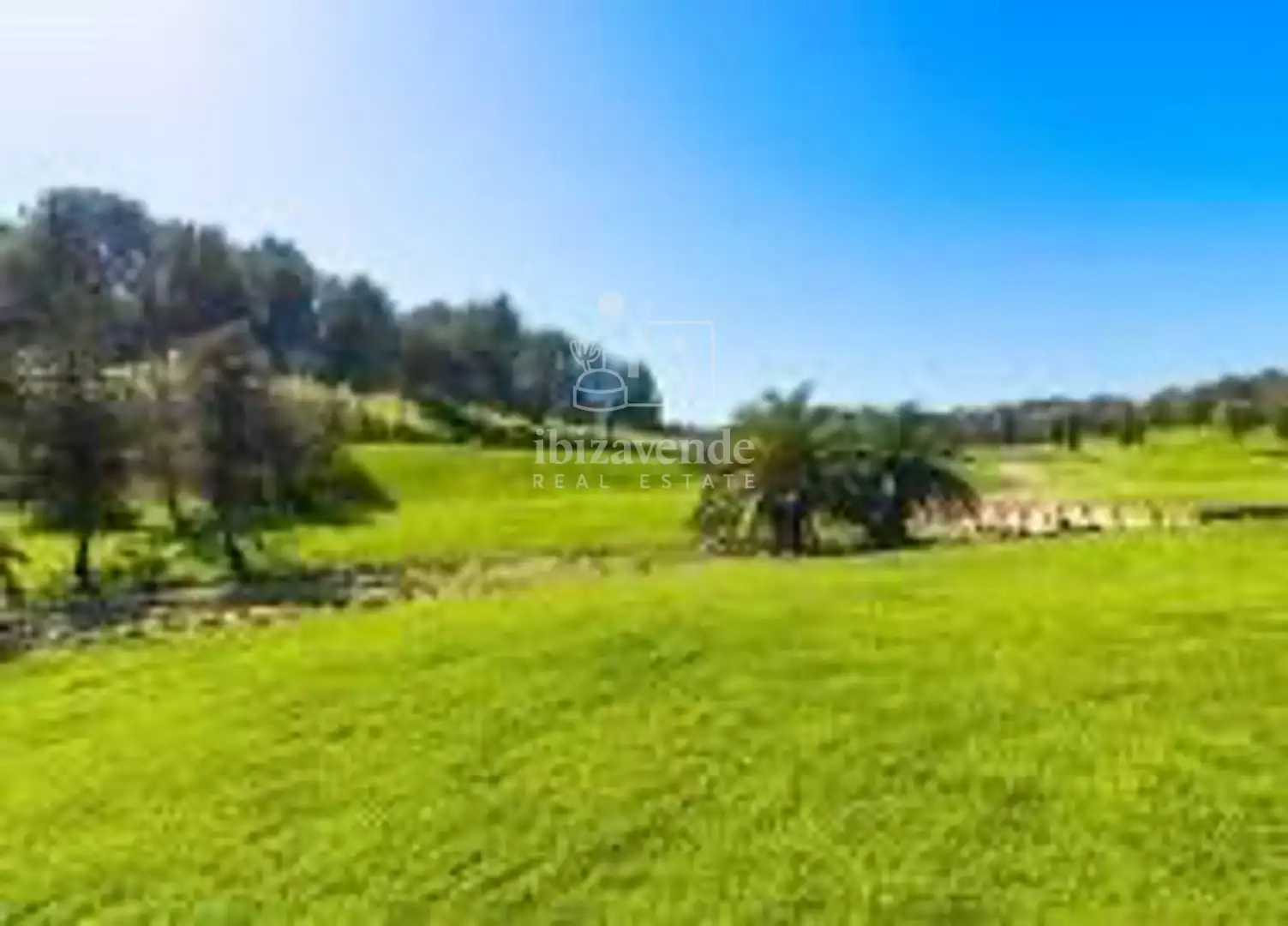Villa mit Pool zum Verkauf in De San Juan, imagen 6