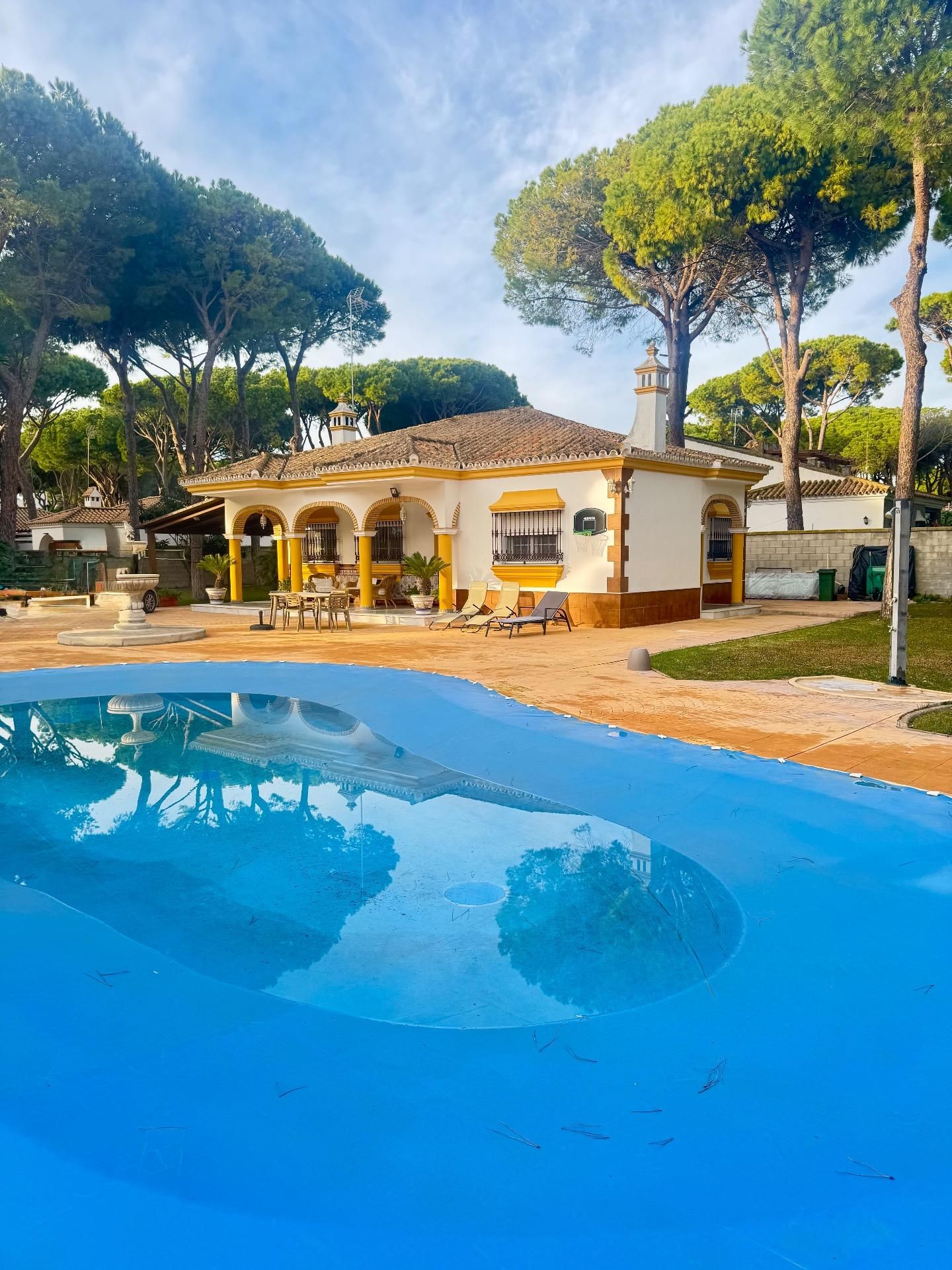 Jardí de Casa o xalet en venda en Chiclana de la Frontera amb Jardí privat i Piscina comunitària