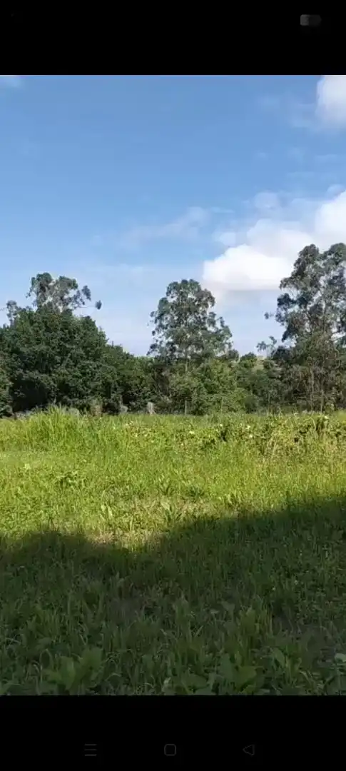 Finca rústica en venta en Valdáliga