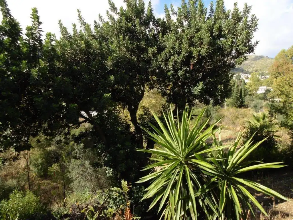 Chalet con jardín en venta en Mijas pueblo, imagen 13