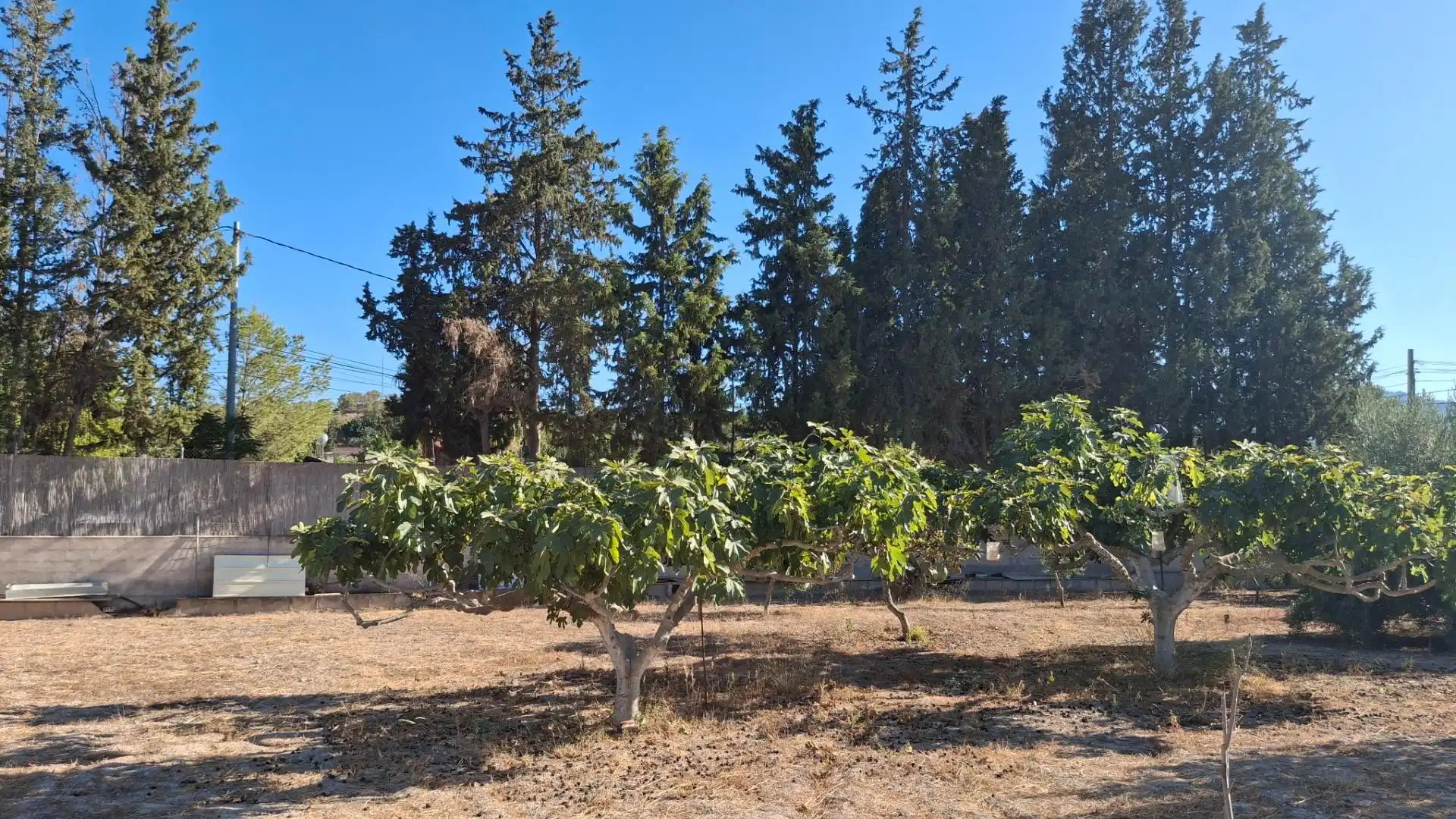 Terrenys i solars en venda a Torreguil, imagen 13