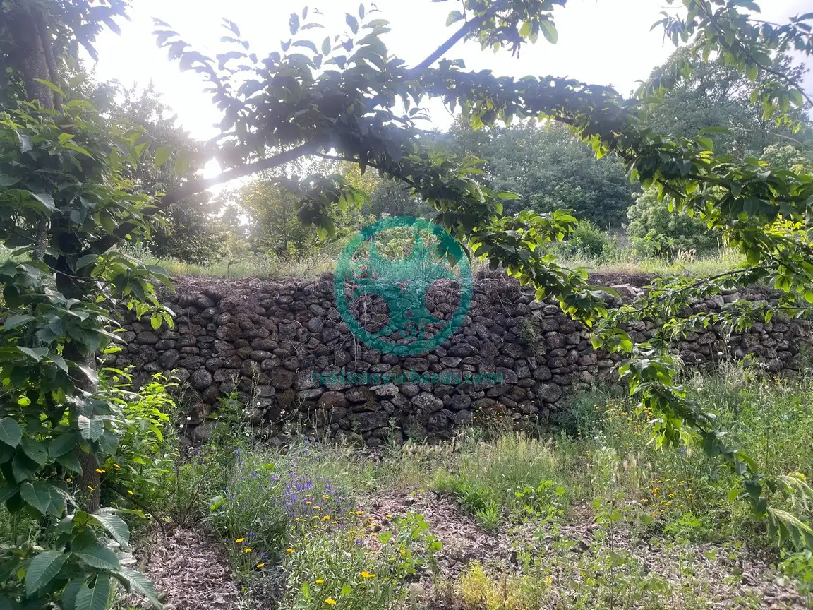 Terreni e lotti in vendita a Garganta la Olla, imagen 15