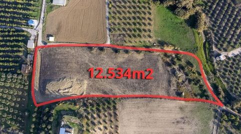 Photo 4 of Land for sale in Polígono 19, 19, Alquería - Torrealquería, Alhaurín de la Torre