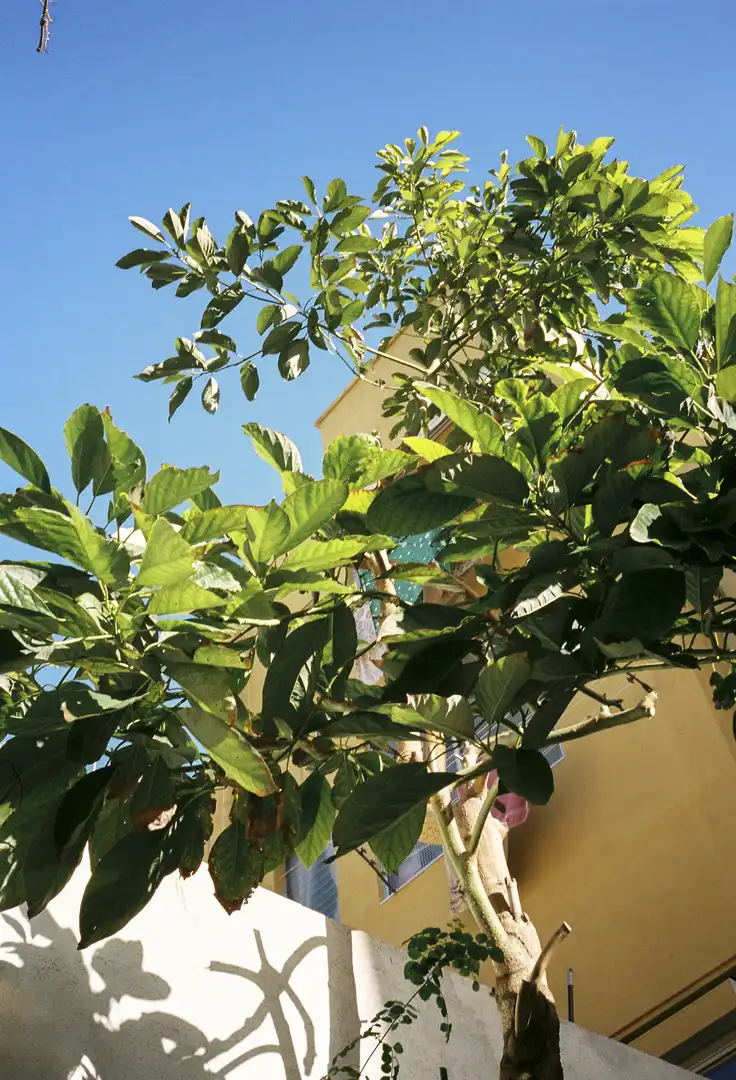 Lofts for sale in Carrer dels Pellaires, Diagonal Mar i el Front Marítim del Poblenou