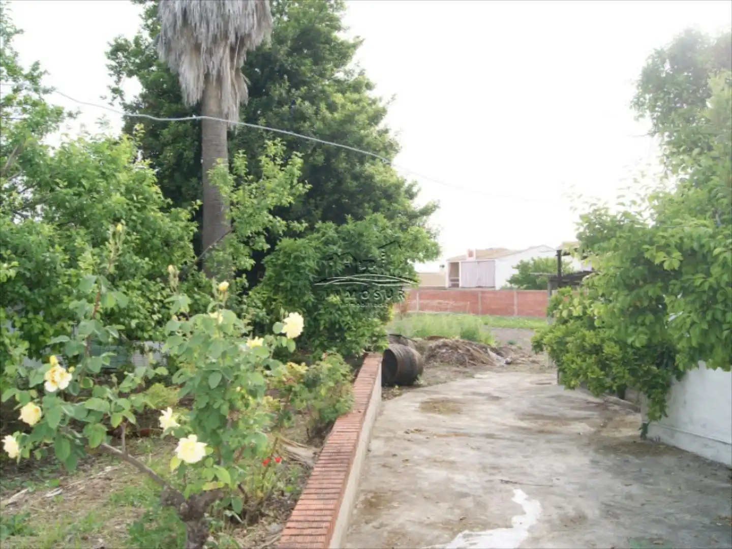 Jardí de Casa adosada en venda en Lucena