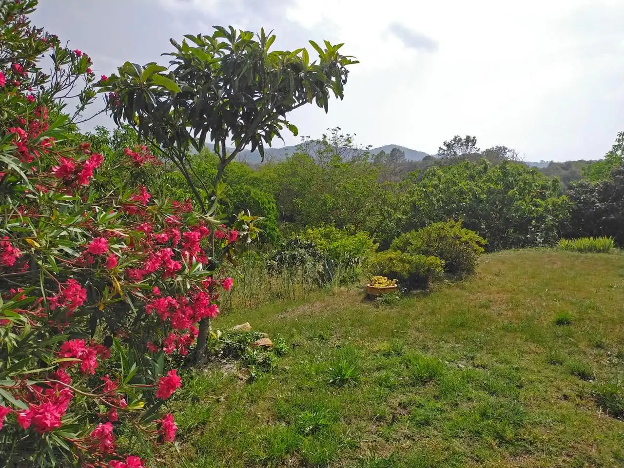Villa avec jardin à vendre à Camino Carretera Bisbal, imagen 12