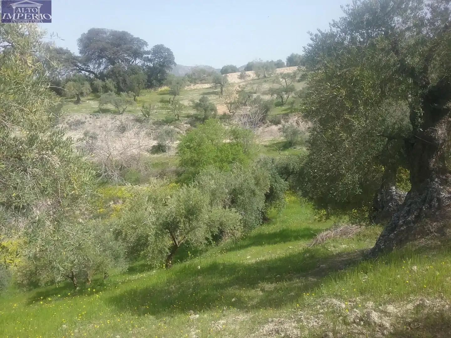 Grundstücke zum Verkauf in Granada
