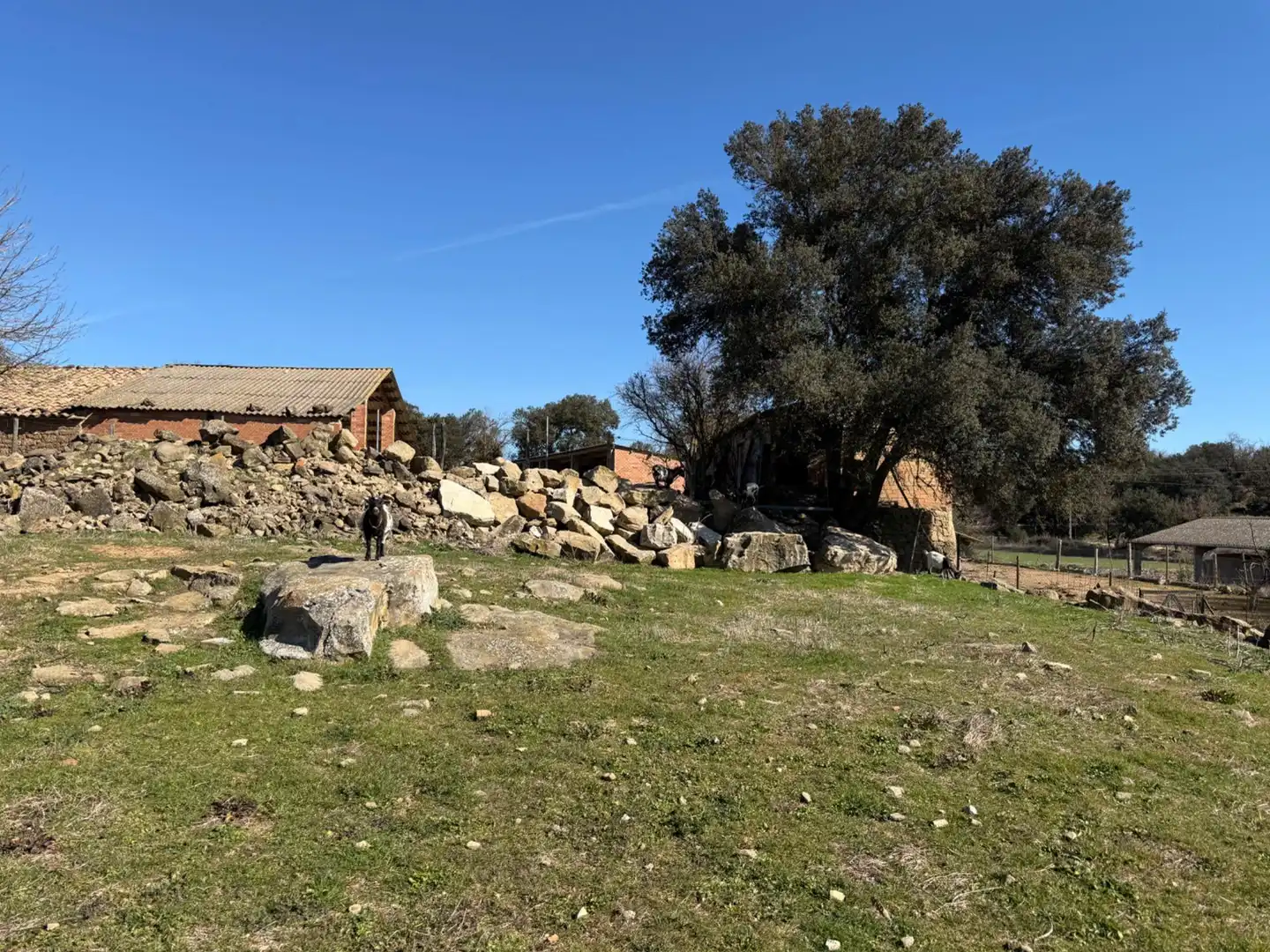 Vista exterior de Finca rústica en venda en Riner amb Terrassa i Traster