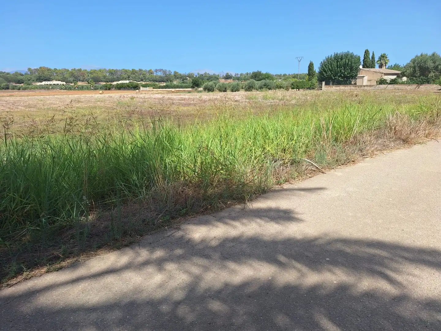 Terrenys i solars en venda a Sineu, imagen 14
